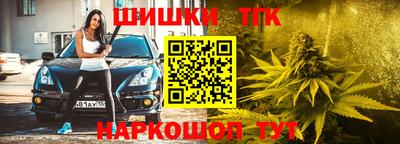 сатива Кулебаки