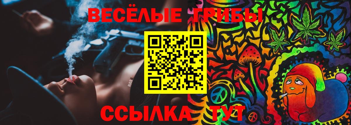 Галлюциногенные грибы Psilocybine cubensis  Вход с VPN  Дзержинск 
